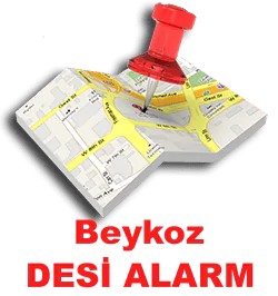 beykoz-desi-alarm