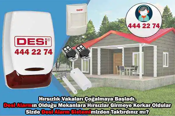 Desi Elektronik Alarm