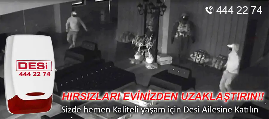 Güvenlik Sistemleri Hangi Amaçlar İçin Kullanımı