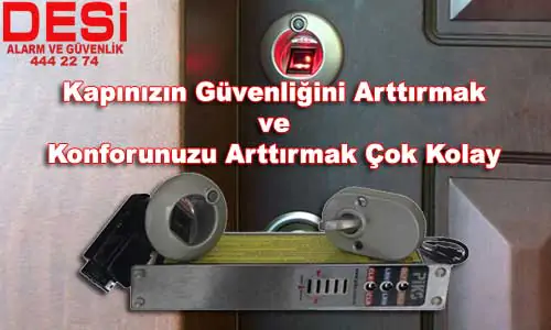 Desi Piks Ariza Servisi