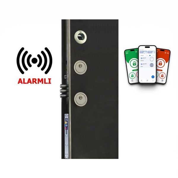 DESİ PİKS FC100 PE V2 Elektrikli ve Alkaline Pilli Ankastre Akıllı Kilit